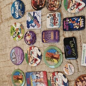 Colorful Disney Pin Collection